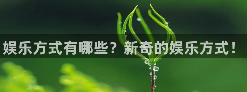 泰达娱乐是啥：娱乐方式有哪些？新奇的娱乐方式！