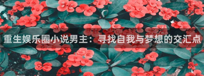 泰达娱乐体育和杏耀是哪个公司的：重生娱乐圈小说男主：寻找自我与梦想的交汇点