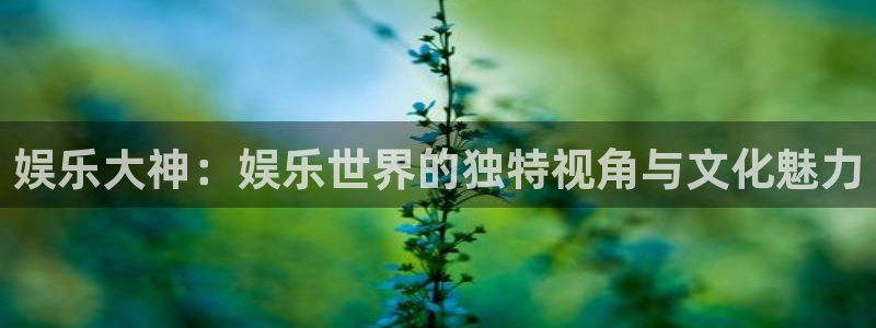 泰达娱乐4开户：娱乐大神：娱乐世界的独特视角与文化魅力