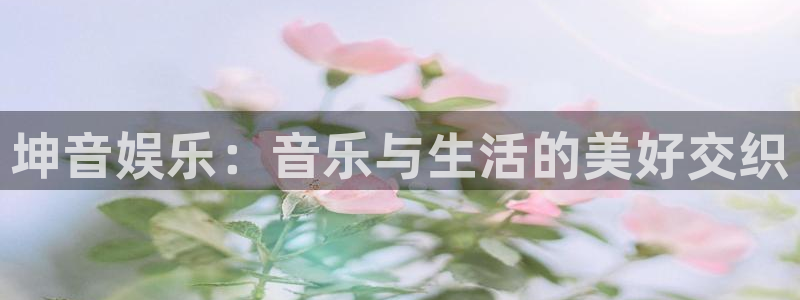 泰达娱乐平台总代理：坤音娱乐：音乐与生活的美好交织