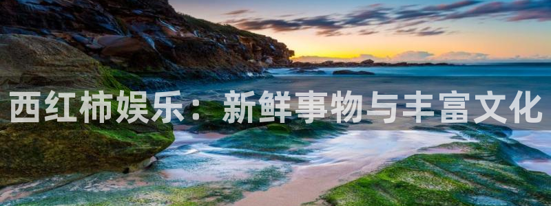 泰达娱乐平台：西红柿娱乐：新鲜事物与丰富文化
