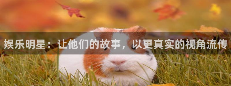 泰达娱乐集团：娱乐明星：让他们的故事，以更真实的视角流传