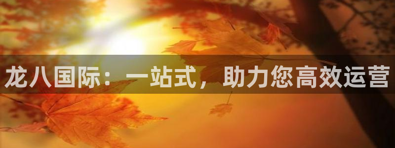 泰达娱乐注册官网入口：龙八国际：一站式，助力您高效运营