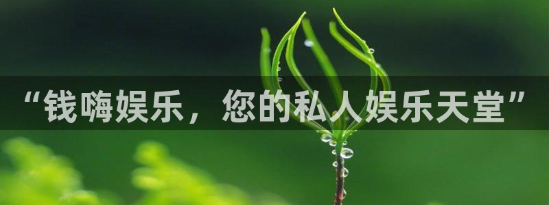 泰达娱乐2登录地址：“钱嗨娱乐，您的私人娱乐天堂”
