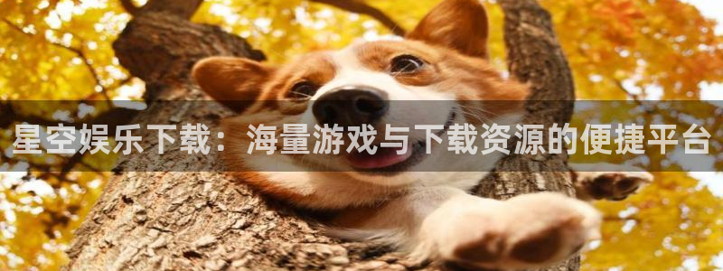 泰达娱乐路线1：星空娱乐下载：海量游戏与下载资源的便捷平台