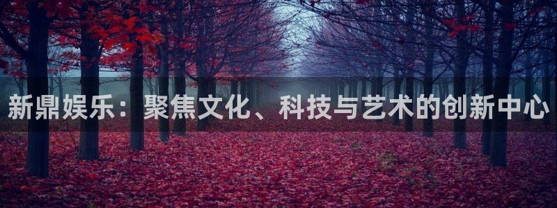 泰达娱乐.ccm官网版