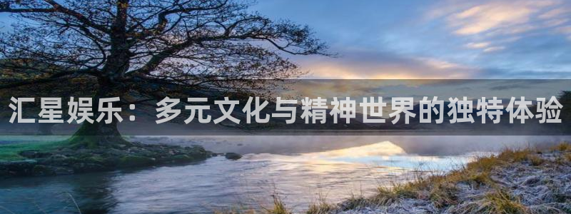 成都泰达娱乐电子有限公司