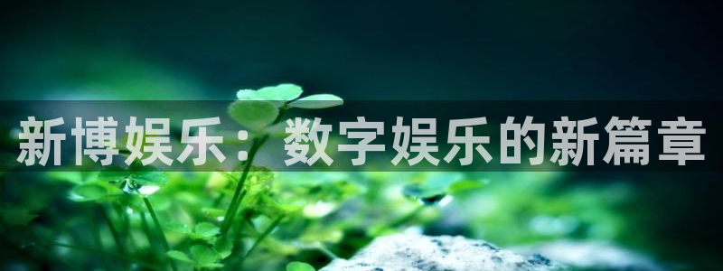 泰达娱乐平台官方入口