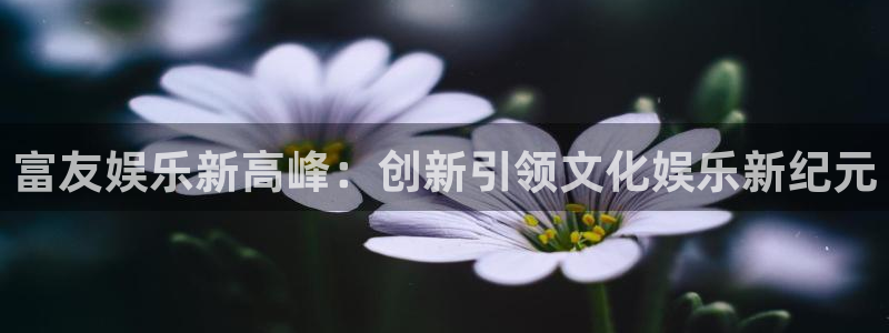 泰达娱乐下载链接是多少