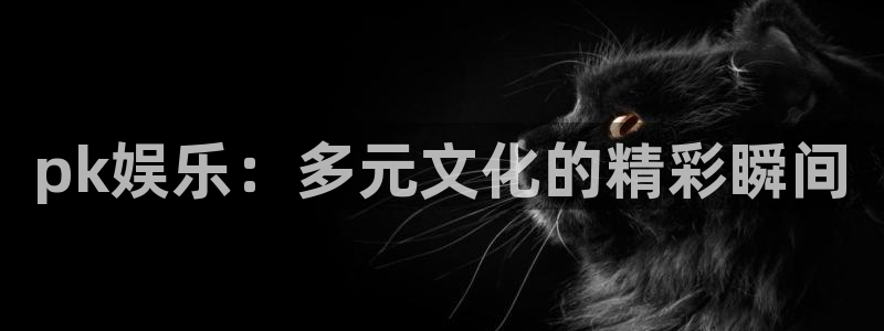 泰达娱乐是真的吗：pk娱乐：多元文化的精彩瞬间