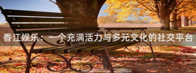 泰达娱乐现在优惠多少：香江娱乐：一个充满活力与多元文化的社交平台