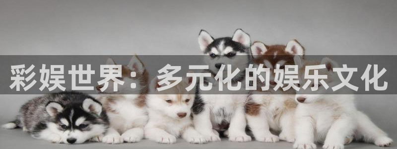 泰达娱乐游戏官网入口：彩娱世界：多元化的娱乐文化