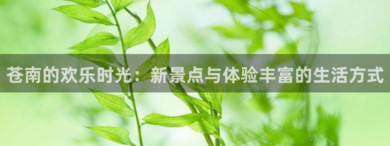 泰达娱乐体育和杏耀是哪个公司的：苍南的欢乐时光：新景点与体验丰富的生活方式