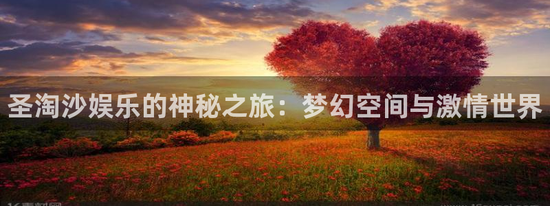 泰达娱乐体育4：圣淘沙娱乐的神秘之旅：梦幻空间与激情世界