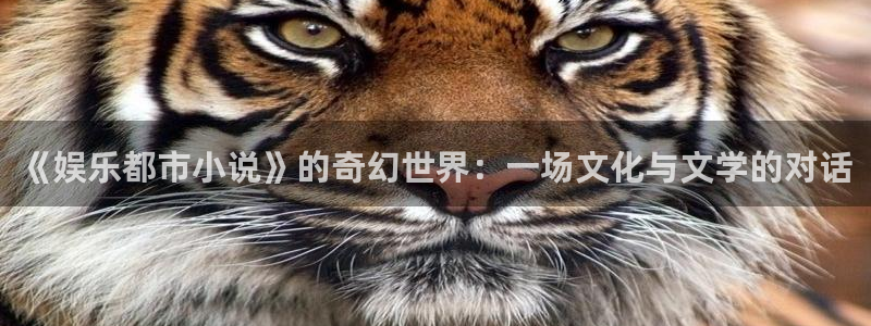 泰达娱乐体育和杏耀是哪个公司的：《娱乐都市小说》的奇幻世界：一场文化与文学的对话