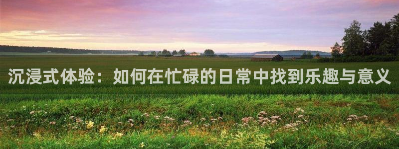 泰达娱乐注册：沉浸式体验：如何在忙碌的日常中找到乐趣与意义