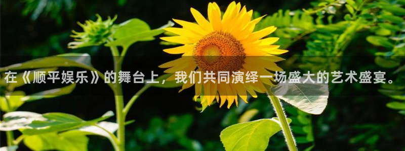 泰达娱乐2体育登录入口：在《顺平娱乐》的舞台上，我们共同演绎一场盛大的艺术盛宴。