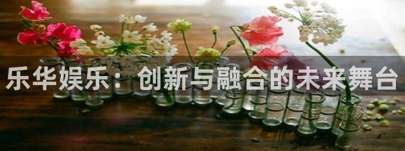泰达娱乐游戏官网入口：乐华娱乐：创新与融合的未来舞台