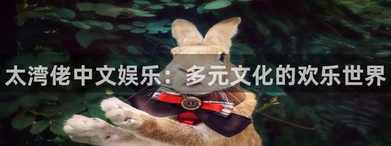 泰达娱乐登录网：太湾佬中文娱乐：多元文化的欢乐世界