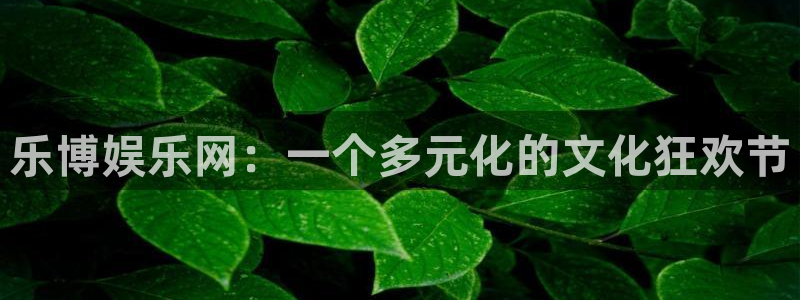 泰达娱乐2体育登录入口：乐博娱乐网：一个多元化的文化狂欢节